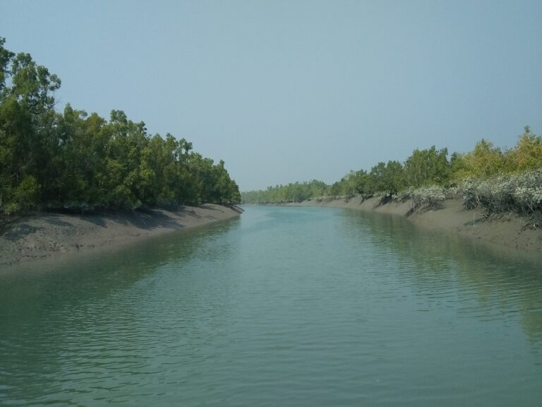 Sundarban-Tour-Packages-from-Kolkata