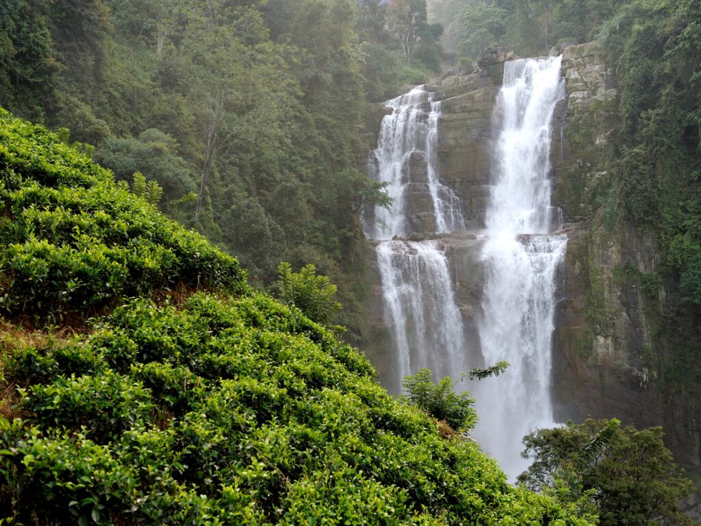 Assam Shillong Tour Packages