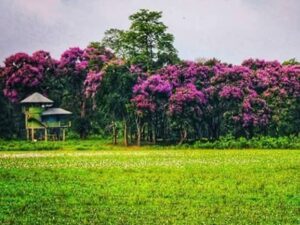 assam meghalaya tourist places