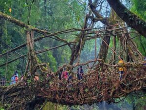 Shillong Oackage tour Mawlynnog route bridge