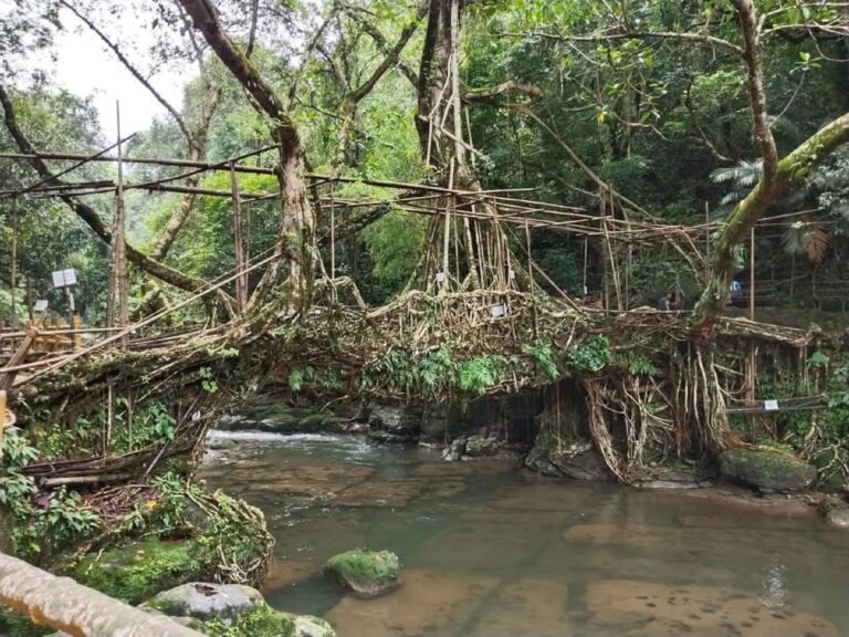Shillong-tour-packages-from Guwahati