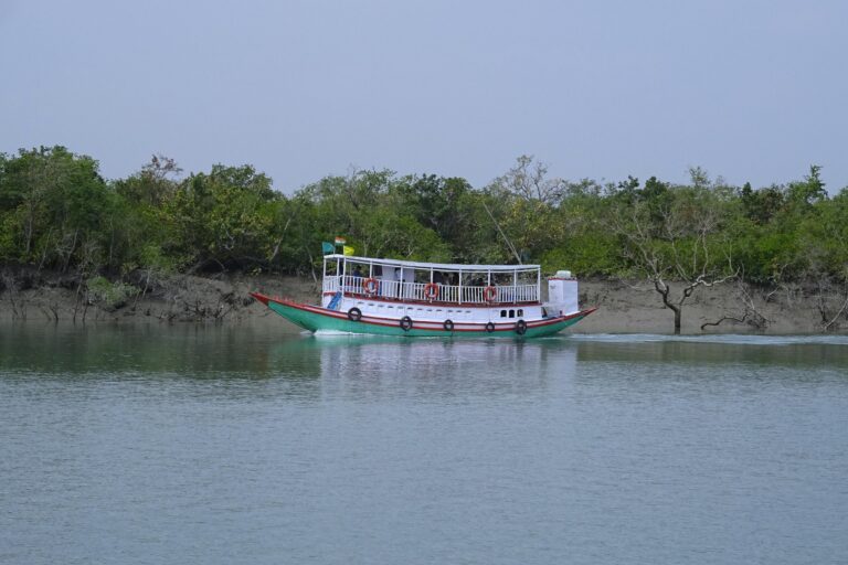 sundarban boat tour package
