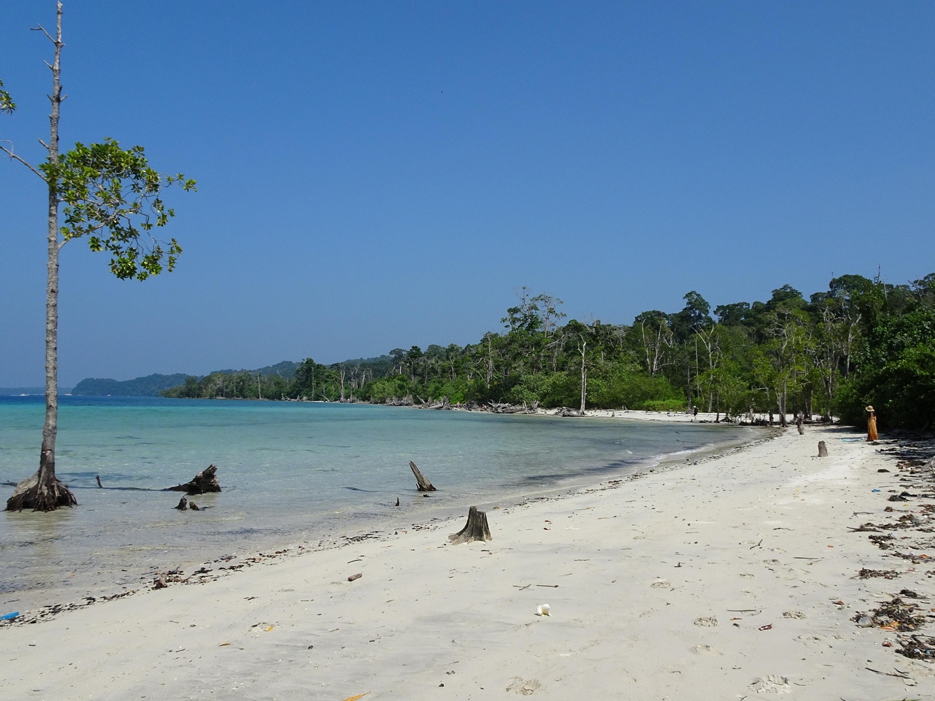 radhanagar beach Andaman