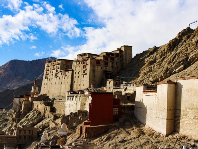 Leh-Palace-Leh-ladakh